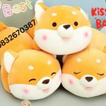 1574847396_76909077_2363309903792448_464874555605778432_n