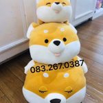 1574847487_77287432_2361079644015474_983720181354201088_o