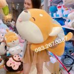 1575449536_78920742_2378980702225368_5946462176423182336_o.jp